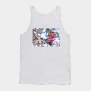 Crimson Rosella 03 Tank Top